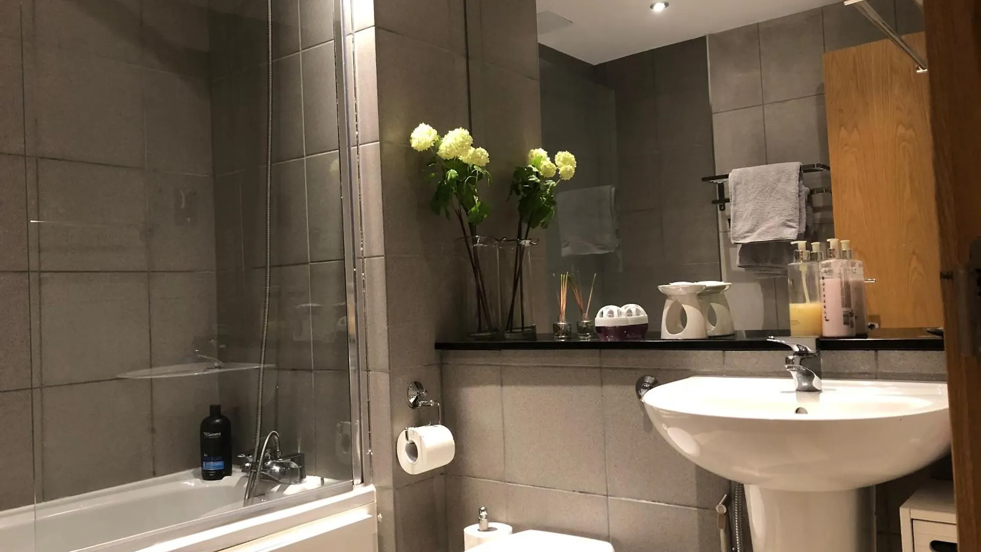 Modern Specious Three Bedroom Apartment In Edinburgh